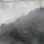 A large heap of manure, steaming in the cold air