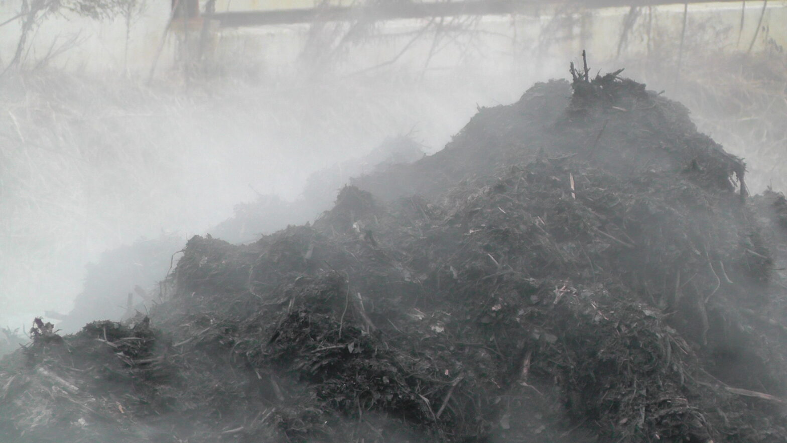 A large heap of manure, steaming in the cold air