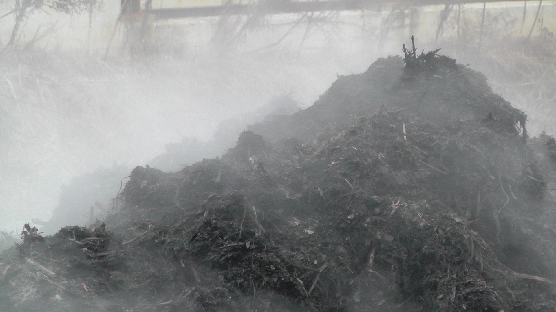 A large heap of manure, steaming in the cold air