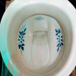 An Edwardian toilet bowl with floral decorations in the porecelain, photo by Adam Hardy