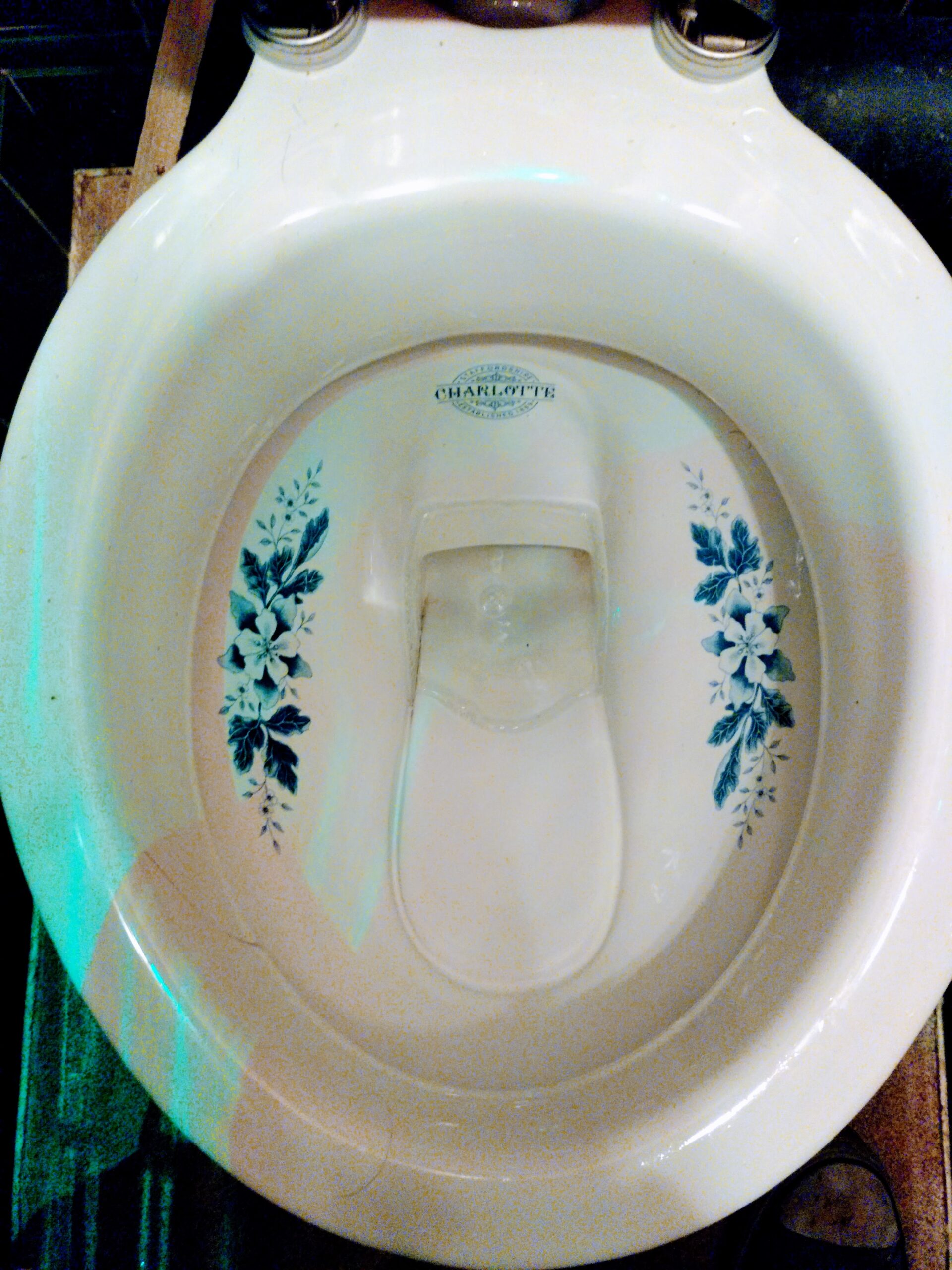 An Edwardian toilet bowl with floral decorations in the porecelain, photo by Adam Hardy