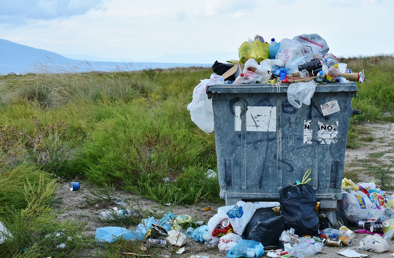 Image by -Rita-👩‍🍳 und 📷 mit ❤ from Pixabay showing a large garbage bin filled up to the brim and overflowing with rubbish against a backdrop of sand dunes.