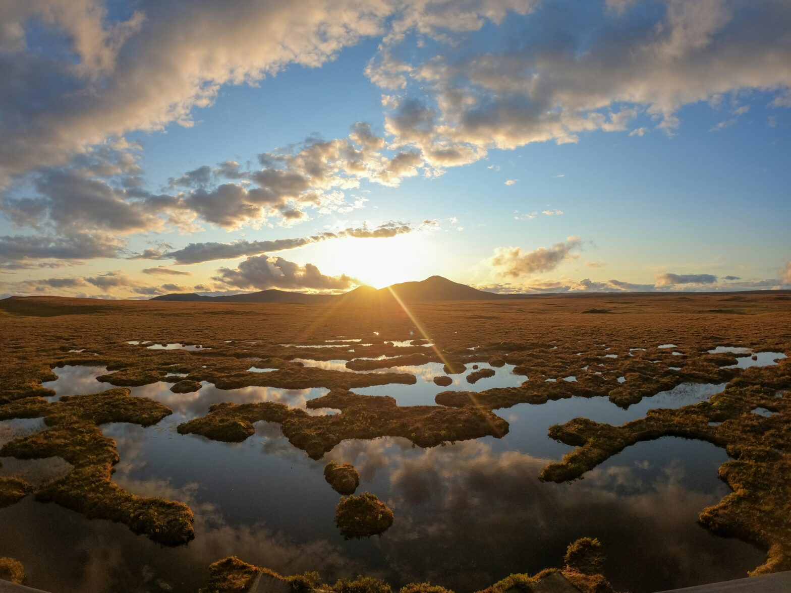 Peat bog in the setting sun by KB on Unsplash https://unsplash.com/photos/the-sun-is-setting-over-a-vast-expanse-of-water-axa5jckDcg4