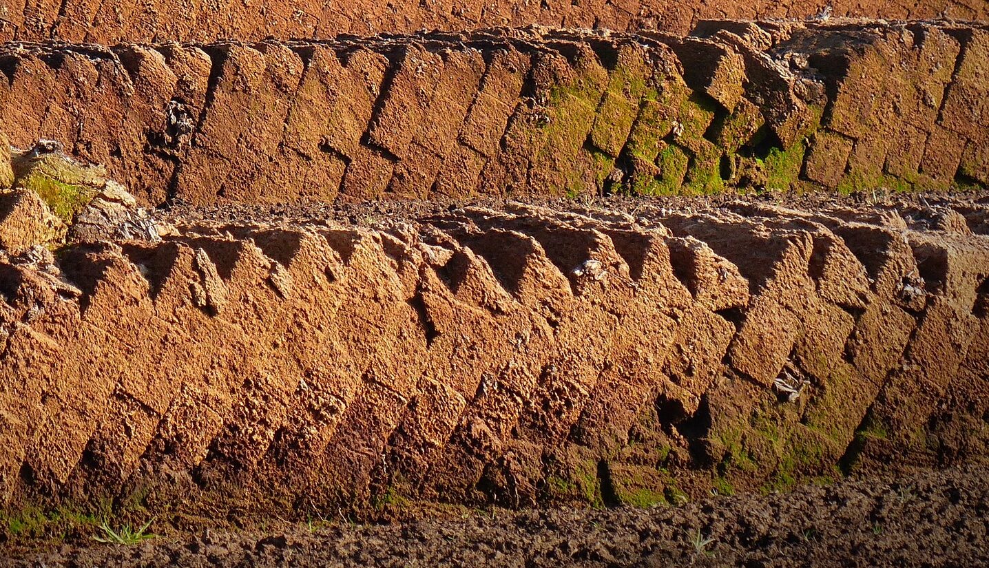 Cut peat ready for packing for the horticulture industry