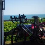 The carbon footprint of cycling